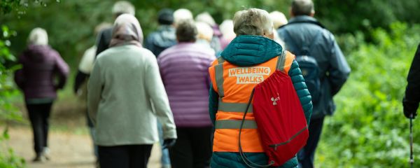 A group of ramblers on a Wellbeing walk, walking away from the camera. The woman in the middle of the group wears a hi-vis orange coat with "Wellbeing Walks" on the back